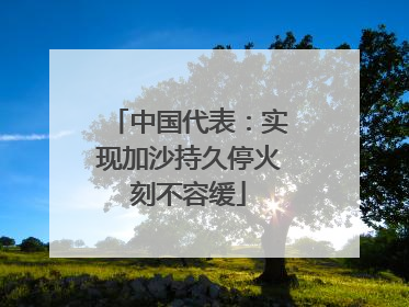 中国代表：实现加沙持久停火刻不容缓