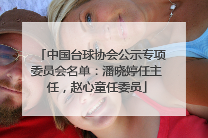 中国台球协会公示专项委员会名单：潘晓婷任主任，赵心童任委员
