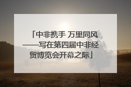 中非携手 万里同风——写在第四届中非经贸博览会开幕之际