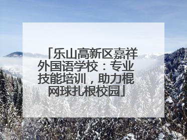 乐山高新区嘉祥外国语学校：专业技能培训，助力棍网球扎根校园