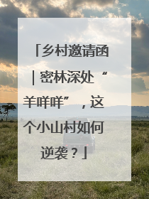 乡村邀请函｜密林深处“羊咩咩”，这个小山村如何逆袭？