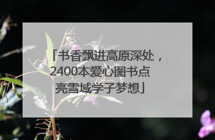 书香飘进高原深处，2400本爱心图书点亮雪域学子梦想