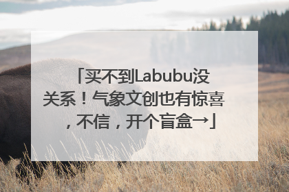 买不到Labubu没关系！气象文创也有惊喜，不信，开个盲盒→