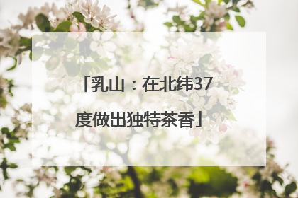 乳山：在北纬37度做出独特茶香