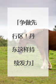 争做先行区！丹东这样持续发力