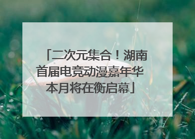 二次元集合！湖南首届电竞动漫嘉年华本月将在衡启幕