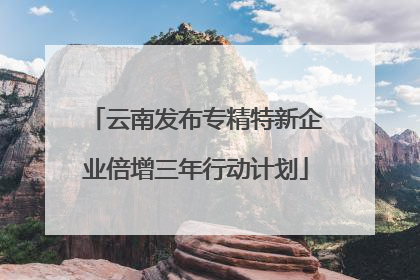 云南发布专精特新企业倍增三年行动计划