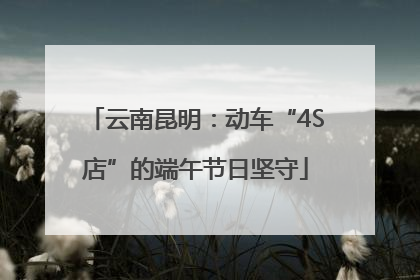 云南昆明：动车“4S店”的端午节日坚守