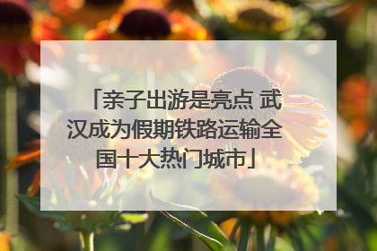 亲子出游是亮点 武汉成为假期铁路运输全国十大热门城市