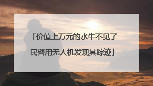 价值上万元的水牛不见了 民警用无人机发现其踪迹