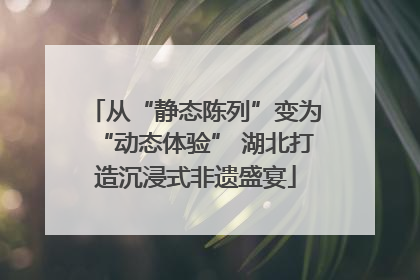 从“静态陈列”变为“动态体验” 湖北打造沉浸式非遗盛宴