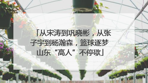 从宋涛到巩晓彬，从张子宇到杨瀚森，篮球逐梦山东“高人”不停歇