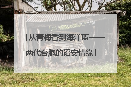 从青梅香到海洋蓝——两代台胞的诏安情缘