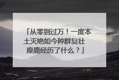 从零到过万！一度本土灭绝如今种群复壮 麋鹿经历了什么？