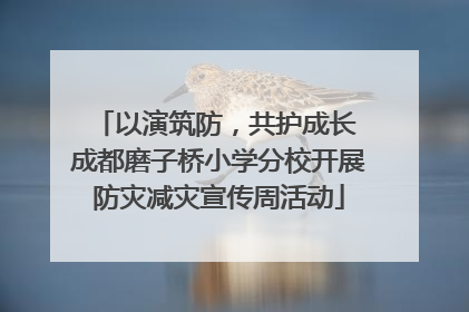 以演筑防，共护成长 成都磨子桥小学分校开展防灾减灾宣传周活动