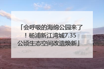 会呼吸的海绵公园来了！杨浦新江湾城7.35公顷生态空间改造焕新