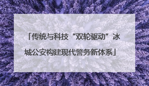 传统与科技“双轮驱动”冰城公安构建现代警务新体系