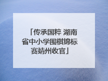 传承国粹 湖南省中小学围棋锦标赛靖州收官