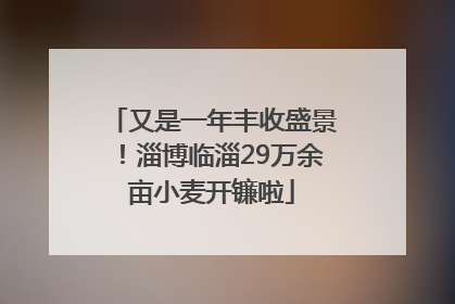 又是一年丰收盛景！淄博临淄29万余亩小麦开镰啦