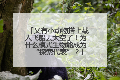 又有小动物搭上载人飞船去太空了！为什么模式生物能成为“探索代表”？