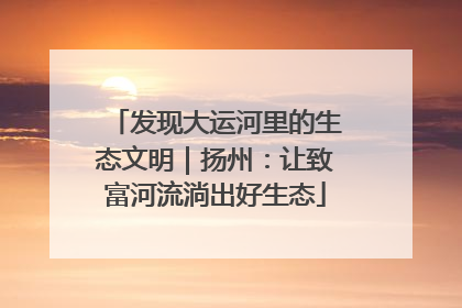 发现大运河里的生态文明｜扬州：让致富河流淌出好生态