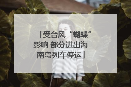 受台风“蝴蝶”影响 部分进出海南岛列车停运