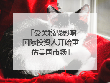 受关税战影响 国际投资人开始重估美国市场