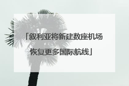 叙利亚将新建数座机场 恢复更多国际航线