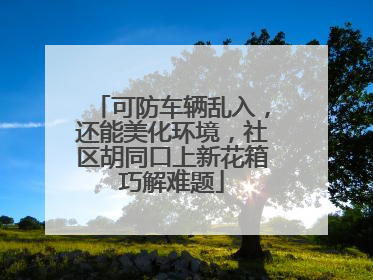 可防车辆乱入，还能美化环境，社区胡同口上新花箱巧解难题
