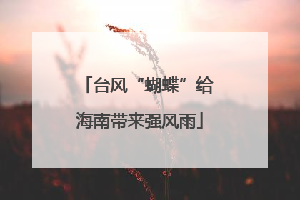 台风“蝴蝶”给海南带来强风雨