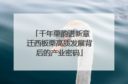 千年栗韵谱新章 迁西板栗高质发展背后的产业密码