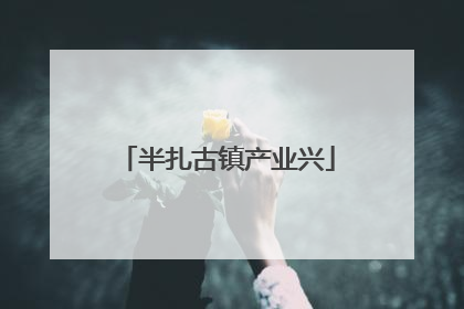 半扎古镇产业兴