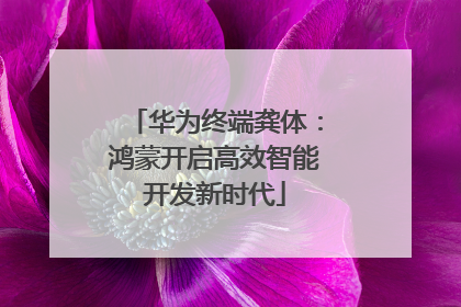 华为终端龚体：鸿蒙开启高效智能开发新时代