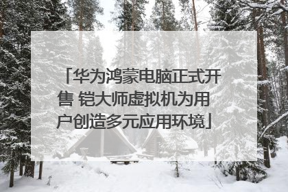 华为鸿蒙电脑正式开售 铠大师虚拟机为用户创造多元应用环境