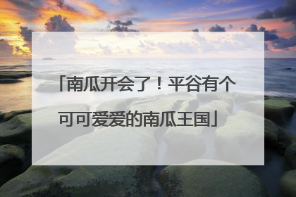 南瓜开会了！平谷有个可可爱爱的南瓜王国