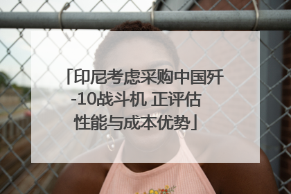 印尼考虑采购中国歼-10战斗机 正评估性能与成本优势