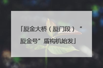 厦金大桥（厦门段）“厦金号”盾构机始发