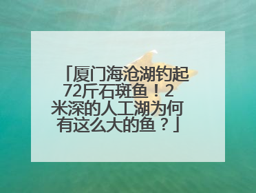 厦门海沧湖钓起72斤石斑鱼！2米深的人工湖为何有这么大的鱼？