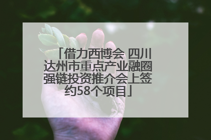 借力西博会 四川达州市重点产业融圈强链投资推介会上签约58个项目
