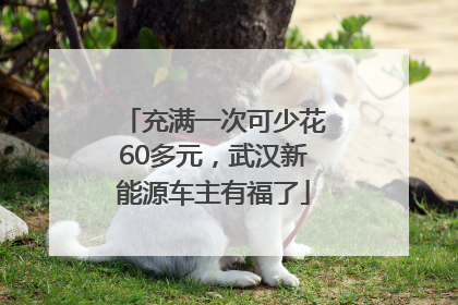 充满一次可少花60多元，武汉新能源车主有福了