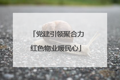 党建引领聚合力 红色物业暖民心