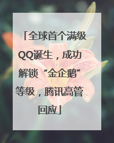 全球首个满级QQ诞生，成功解锁“金企鹅”等级，腾讯高管回应