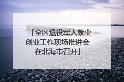 全区退役军人就业创业工作现场推进会在北海市召开