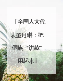 全国人大代表董月琳：把侗族“讲款”用起来