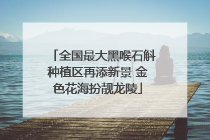 全国最大黑喉石斛种植区再添新景 金色花海扮靓龙陵