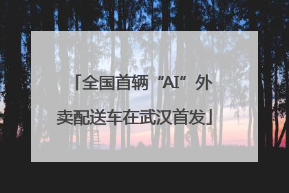 全国首辆“AI”外卖配送车在武汉首发