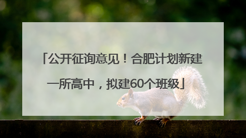 公开征询意见！合肥计划新建一所高中，拟建60个班级