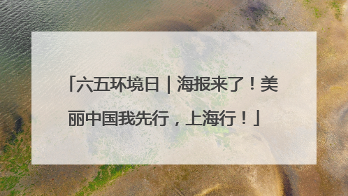 六五环境日｜海报来了！美丽中国我先行，上海行！