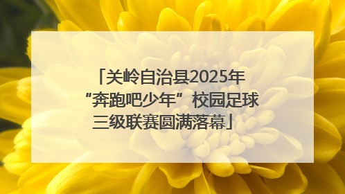 关岭自治县2025年“奔跑吧少年”校园足球三级联赛圆满落幕
