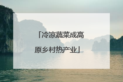 冷凉蔬菜成高原乡村热产业
